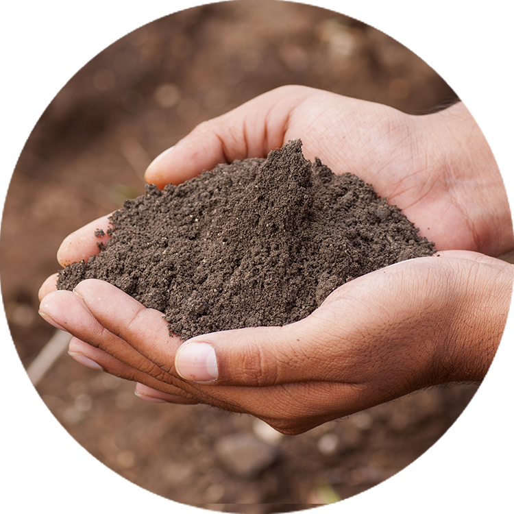 hands holding Van Beek's LawnPro Soil